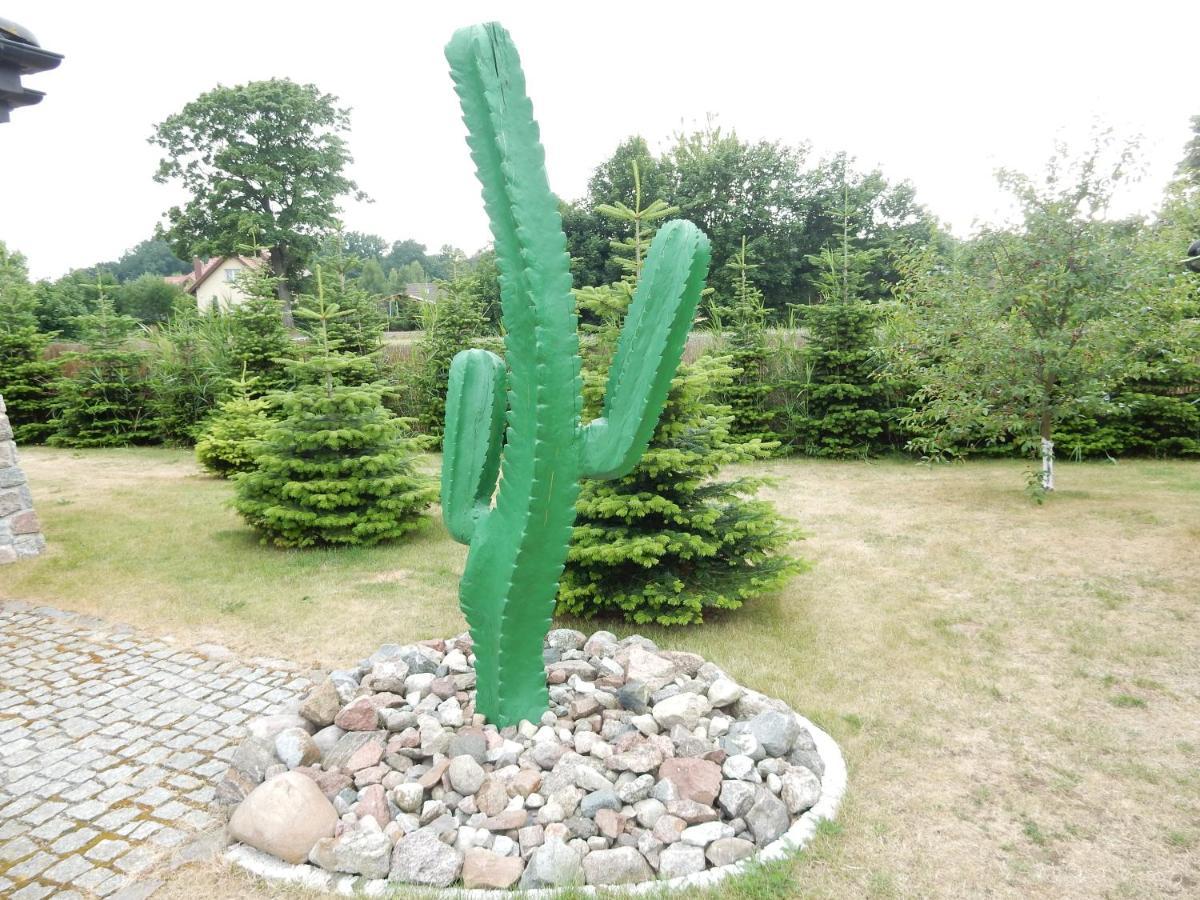 Domki Kaktus Osieki  Dış mekan fotoğraf